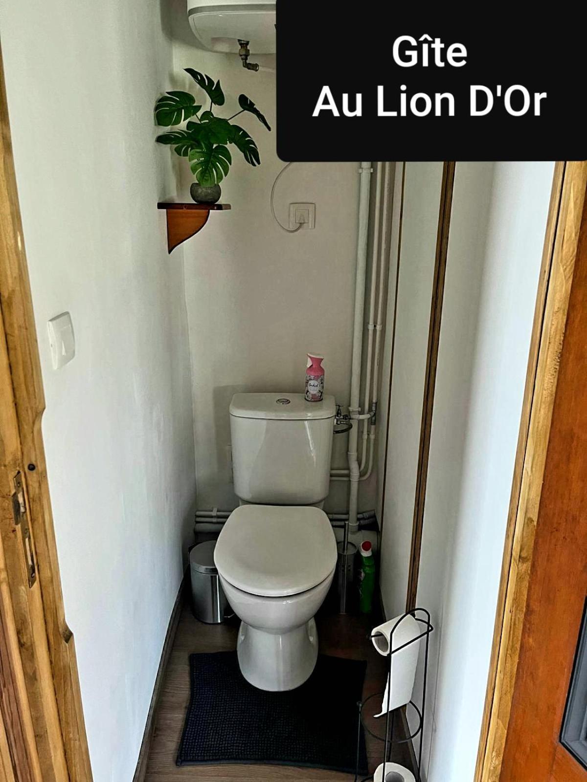 Ferienwohnung Au Lion D'Or Les Roches-l'Eveque Exterior foto